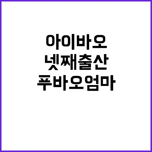 아이바오의 넷째 출…