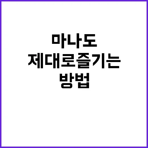 마나도를 제대로 즐기는 방법