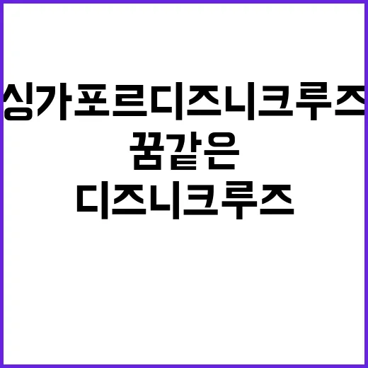싱가폴 디즈니 크루…