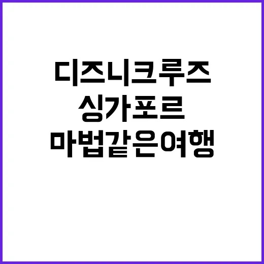 싱가포르 디즈니 크…