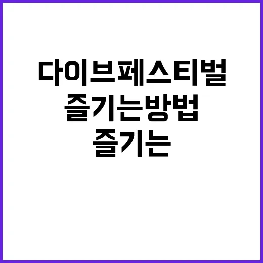 다이브 페스티벌 완…