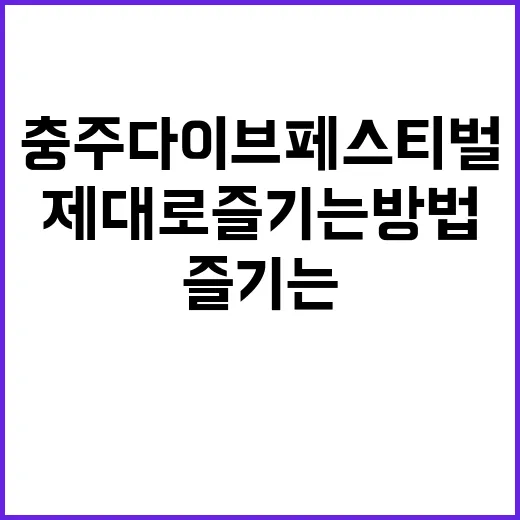 충주 다이브 페스티…