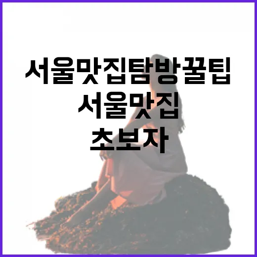 초보자를 위한 서울 맛집 탐방 꿀팁 - 요약