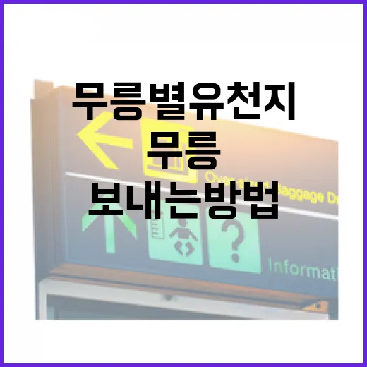무릉별유천지에서 특별한 하루 보내는 방법 - 요약