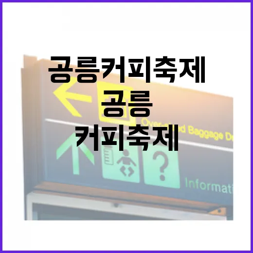 공릉 커피축제 즐기기: 초보자도 쉽게! - 요약