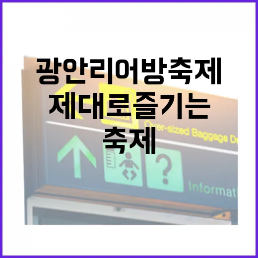 광안리어방축제 제대로 즐기는 방법 - 요약