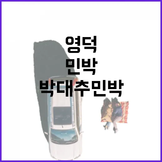 영덕박대추민박에서 특별한 힐링을 경험하는 방법 - 요약
