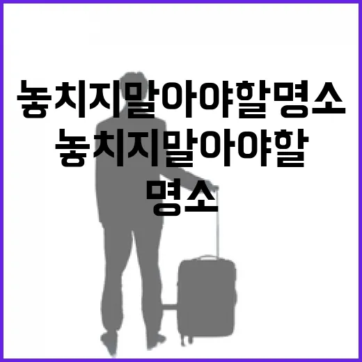 고성에서 놓치지 말아야 할 명소들 - 요약