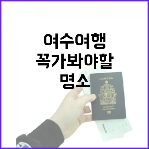 여수 여행, 꼭 가봐야 할 숨겨진 명소들 - 요약