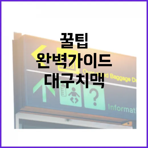대구 치맥페스티벌 완벽 가이드: 놓치지 말아야 할 꿀팁 - 요약
