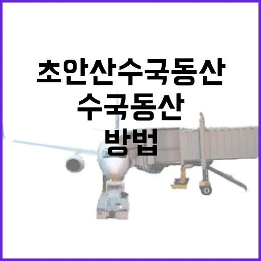 초안산 수국동산을 즐기는 방법 - 요약