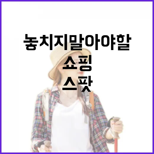 삿포로 쇼핑의 매력: 놓치지 말아야 할 쇼핑 스팟 - 요약