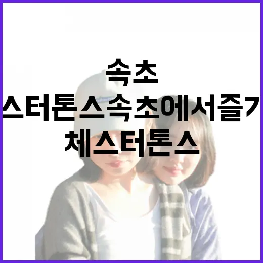 체스터톤스 속초에서 즐기는 특별한 하루 - 요약