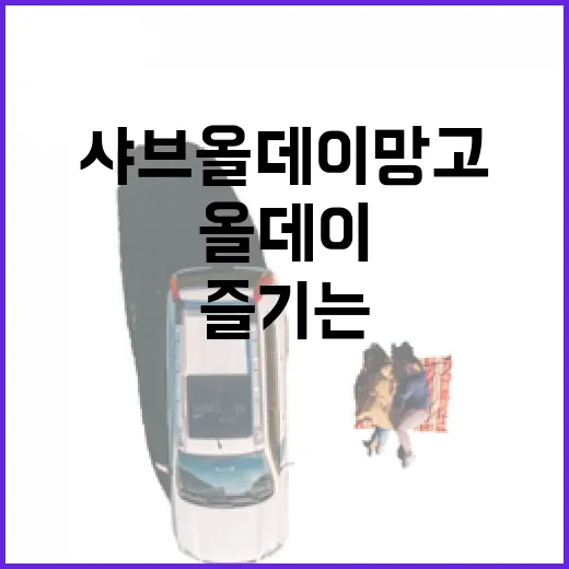 샤브올데이 망고 제대로 즐기는 방법 - 요약