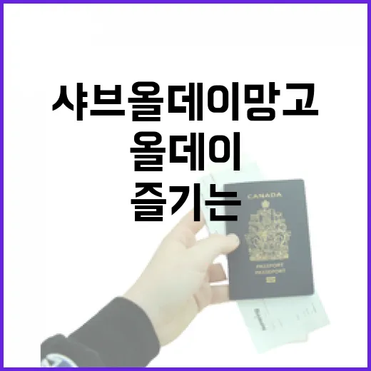 샤브올데이 망고를 100% 즐기는 방법 - 요약