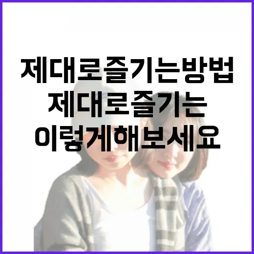김피탕 제대로 즐기는 방법, 이렇게 해보세요! - 요약