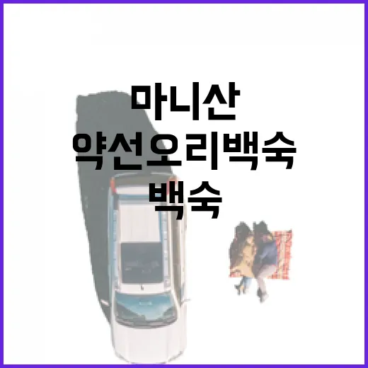 마니산에서 즐기는 약선오리백숙의 특별한 맛 - 요약