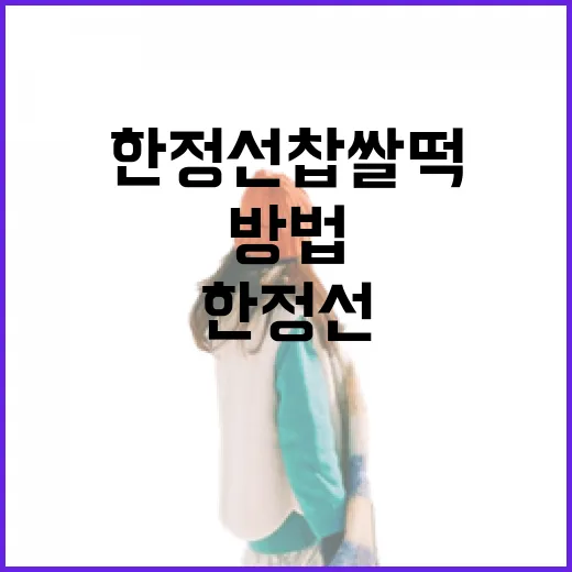 한정선 찹쌀떡의 매력에 빠지는 방법 - 요약