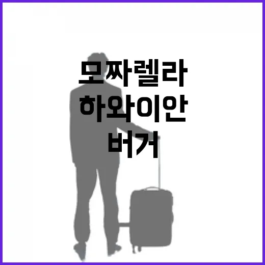 하와이안 모짜렐라버거 제대로 즐기는 방법 - 요약