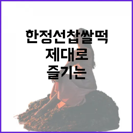 한정선 찹쌀떡을 제대로 즐기는 방법 - 요약
