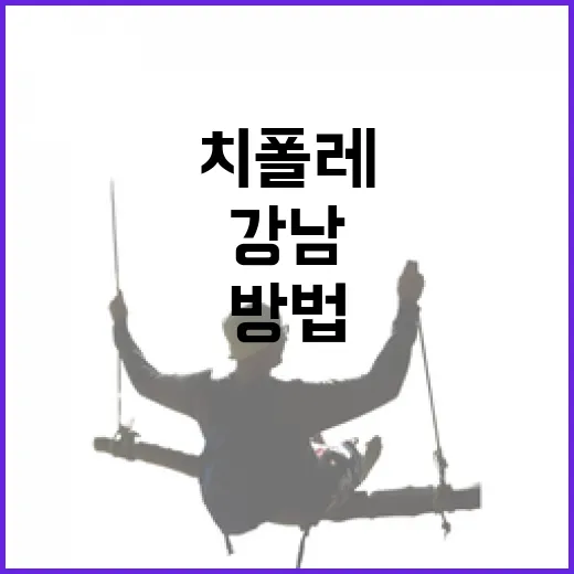 강남에서 치폴레 제대로 즐기는 방법 - 요약