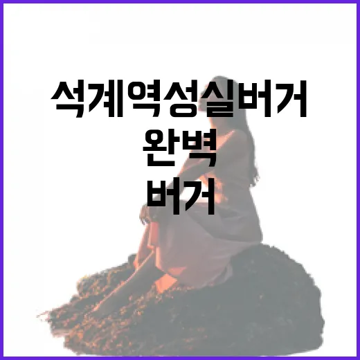 석계역 성실버거를 즐기는 완벽한 방법 - 요약