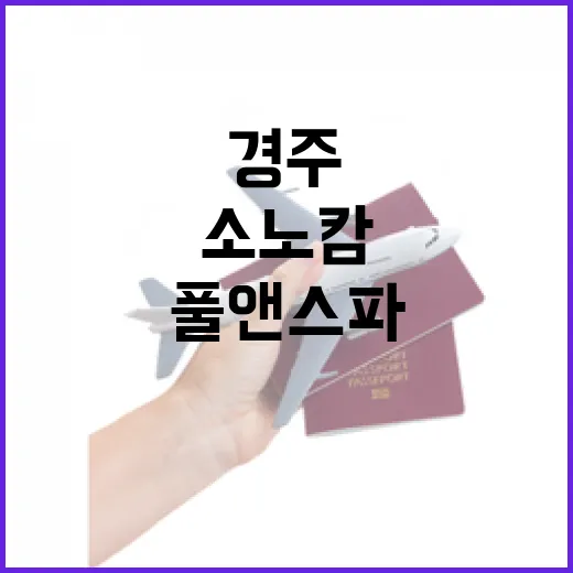 완벽한 휴식을 위한 경주 소노캄 풀앤스파 활용법 - 요약