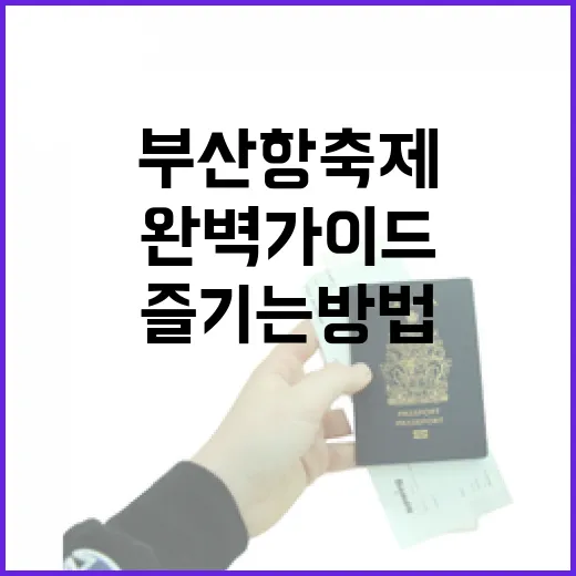 부산항축제, 즐기는 방법 완벽 가이드 - 요약