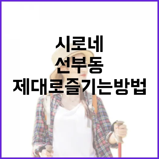선부동 시로네를 제대로 즐기는 방법 - 요약