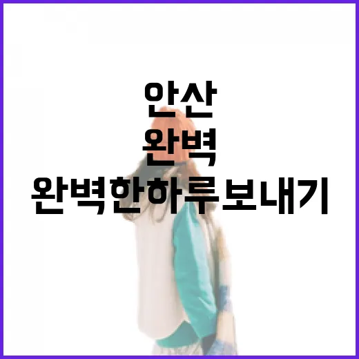 안산 시로네에서 즐기는 완벽한 하루 보내기 - 요약