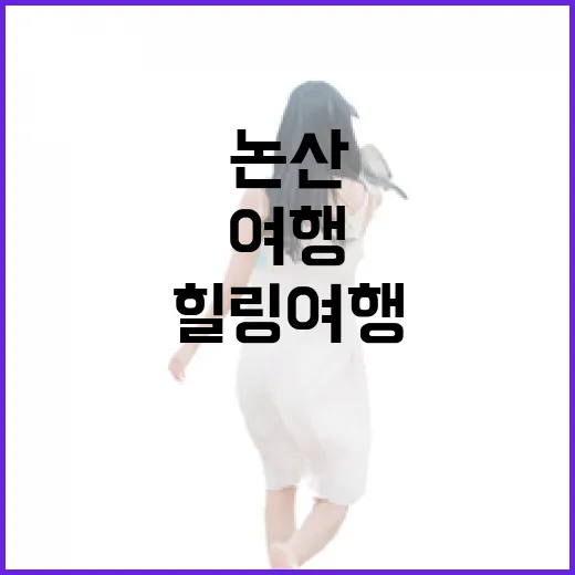 논산 다락가든: 자연과 함께하는 힐링 여행 방법 - 요약