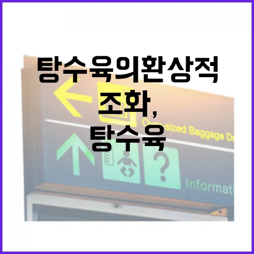 상추쌈과 탕수육의 환상적인 조화, 이렇게 즐겨보세요 - 요약