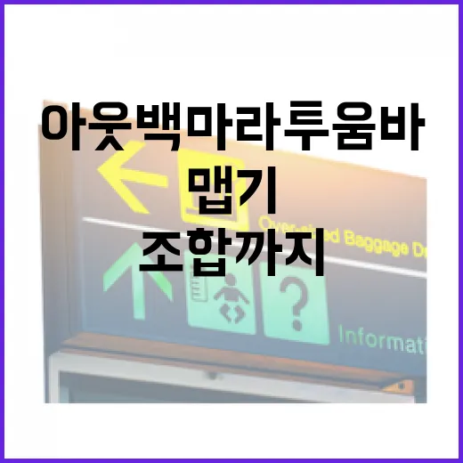 아웃백 마라투움바 맛있게 먹는 방법, 맵기부터 주문 조합까지 - 요약