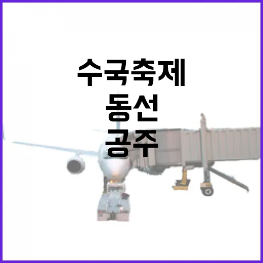 공주 수국축제 처음 가는 방법, 시간대와 동선까지 이렇게 잡으면 편해요 - 요약