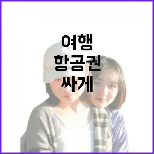 항공권을 싸게 사려다 동네 여행을 더 좋아하게 된 이야기 - 요약