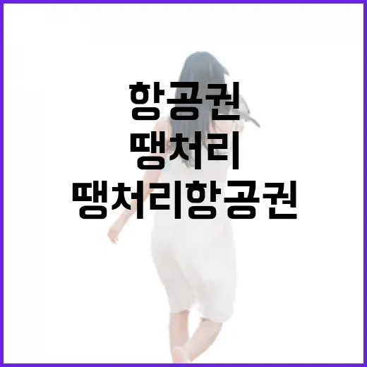 땡처리항공권으로 떠나봤더니, 여행지는 공항에서 조금 더 멀어졌다 - 요약
