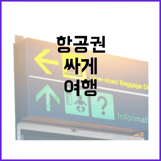 항공권을 싸게 사려다 동네 여행의 리듬까지 바뀐 이야기 - 요약