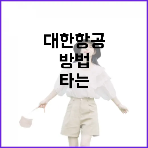 대한항공 처음 타는 사람도 덜 헤매는 방법 - 요약