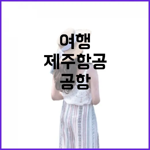 제주항공 타고 골목 여행을 해봤더니, 공항 밖에서 더 오래 남은 것들 - 요약