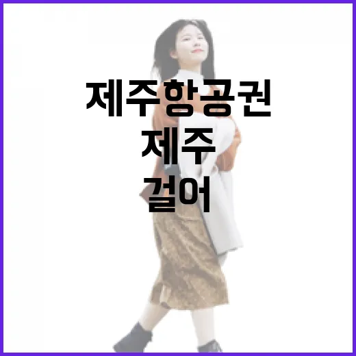 제주항공권 싸게 잡고 동네길만 걸어봤더니 보인 것들 - 요약