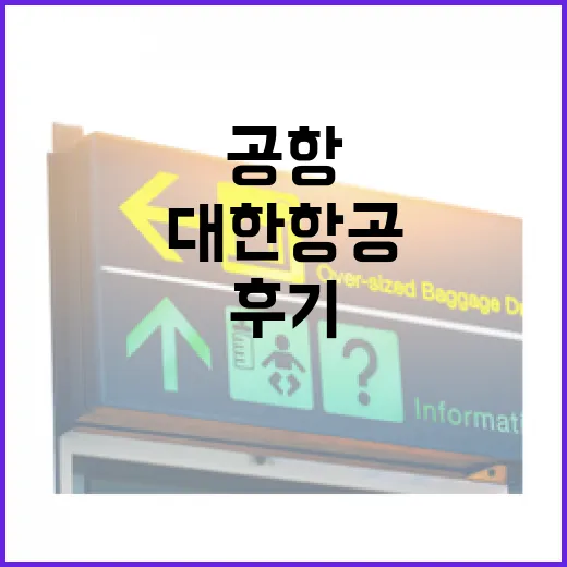 대한항공 타고 돌아온 날, 공항보다 오래 기억난 동네 산책 후기 - 요약