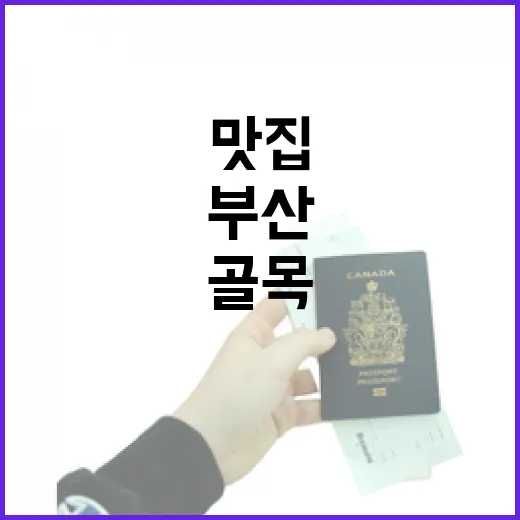 부산맛집을 큰길 말고 골목으로 걸어가 봤더니 보인 것들 - 요약
