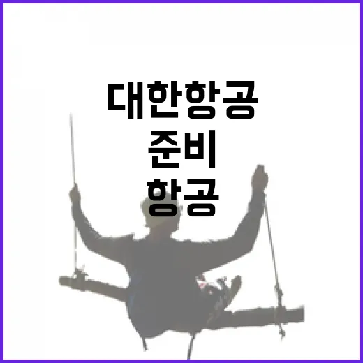 대한항공 처음 타려면 이렇게 준비하는 방법 - 요약