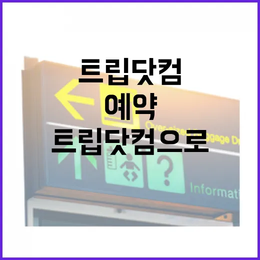 트립닷컴으로 일부러 유명한 곳을 빗겨 예약해봤더니 보였던 동네의 시간 - 요약