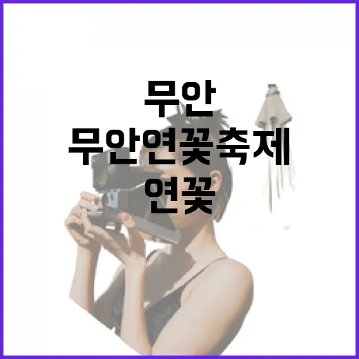 무안 연꽃축제에 직접 가봤더니, 북적임보다 물가의 시간이 더 오래 남았다 - 요약