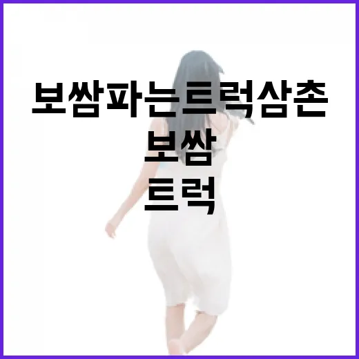 골목 끝에서 만난 보쌈파는 트럭삼촌, 직접 사 먹어본 조용한 밤의 맛 - 요약