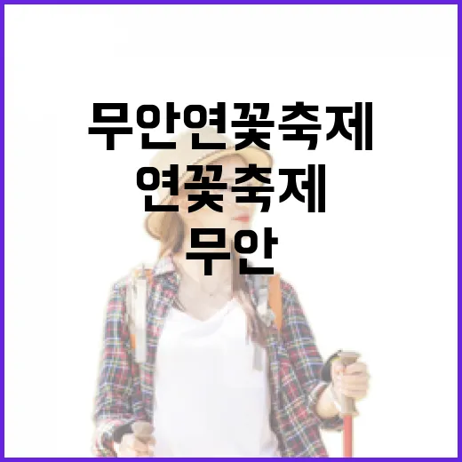 무안연꽃축제에 직접 가봤더니, 사람 많은 시간만 피하면 꽤 조용했다 - 요약