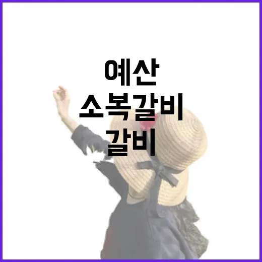 예산 소복갈비 골목으로 걸어가 직접 먹어본 조용한 갈비 한 끼 - 요약