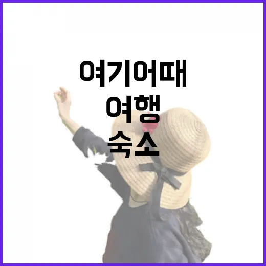 여기어때로 골목 숙소를 골라봤더니, 여행이 조금 조용해졌다 - 요약