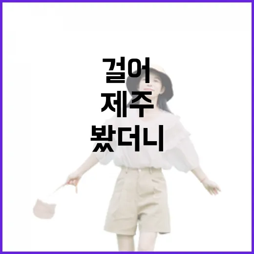 제주항공권 싸게 잡고 조용한 동네만 걸어봤더니 - 요약